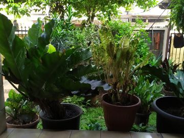 Jakarta Barat, Jakarta Raya