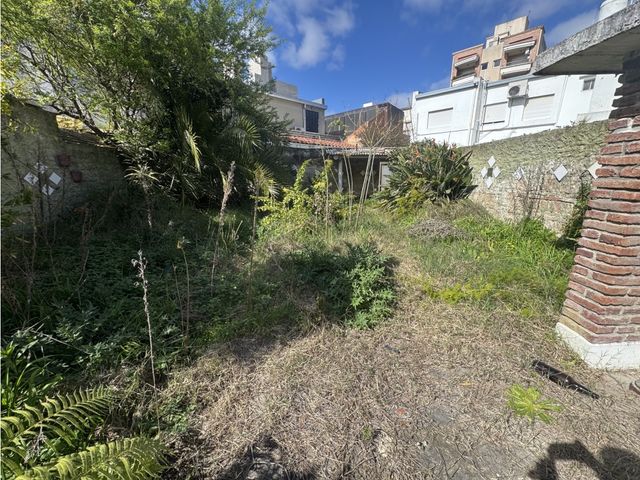 place photo 30