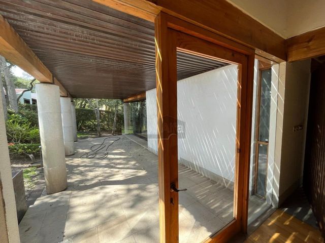 place photo 60