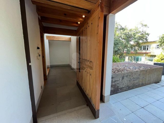 place photo 83