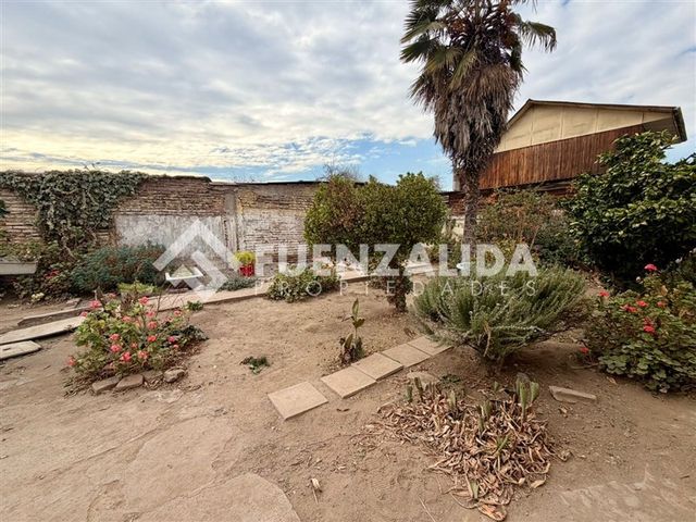 place photo 22