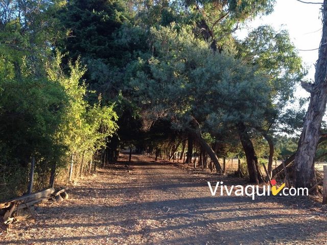 place photo 8