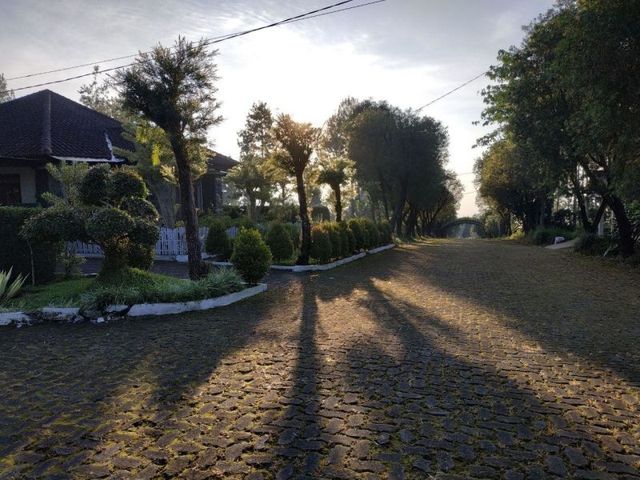 place photo 4