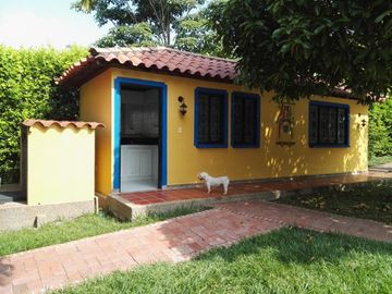 place photo 15