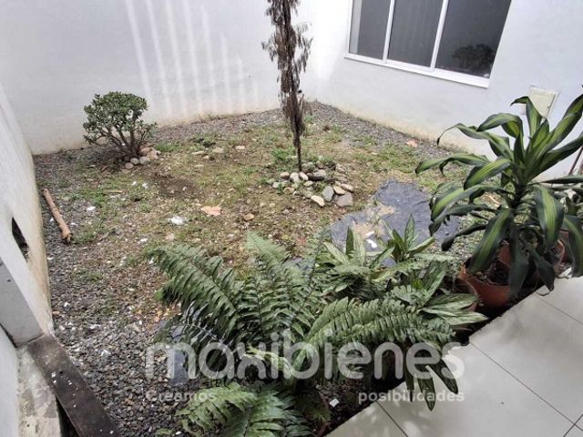 place photo 26