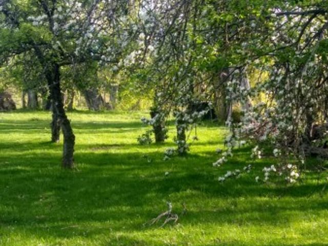 place photo 16