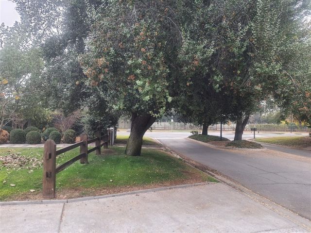 place photo 47
