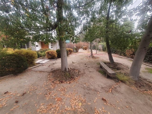 place photo 48