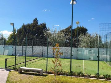 place photo 40