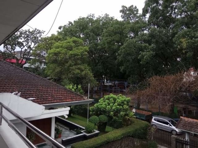 place photo 12