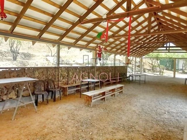 place photo 41