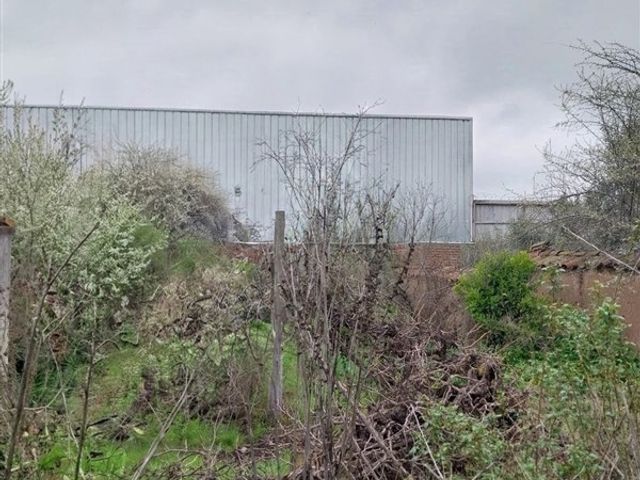 place photo 12