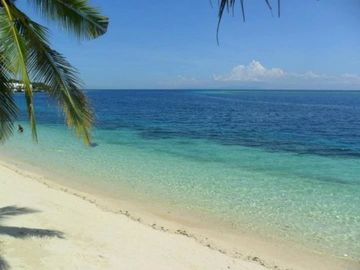 place photo 23