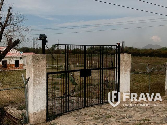 place photo 5