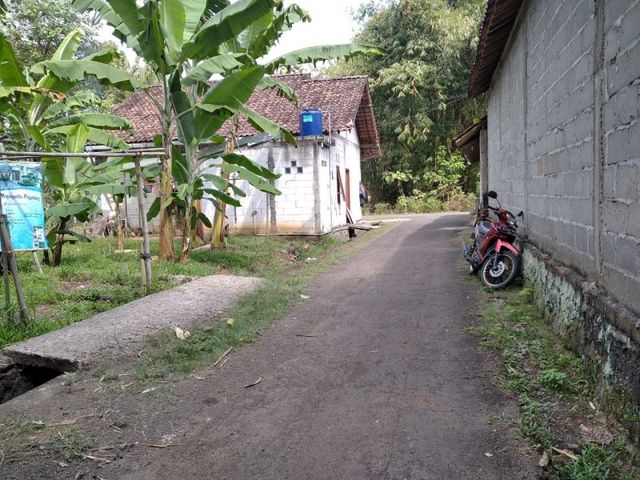 place photo 4