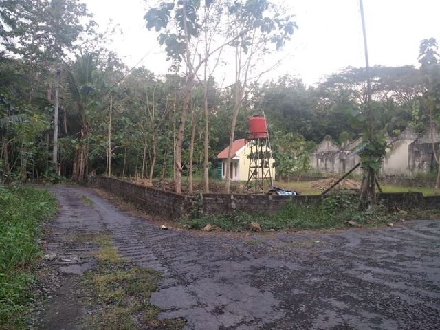 place photo 1