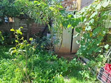 place photo 29