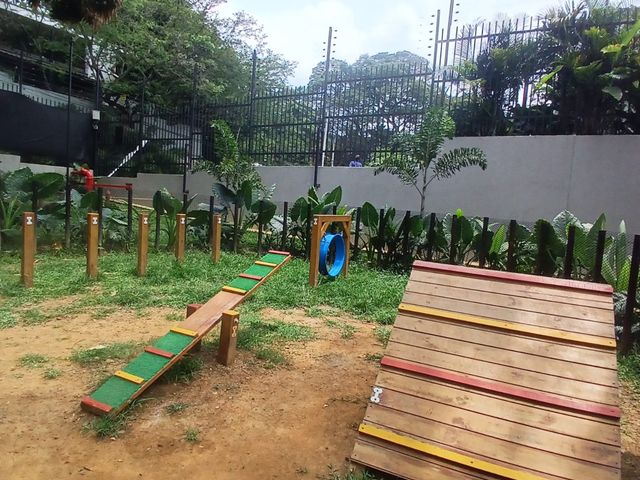 place photo 26