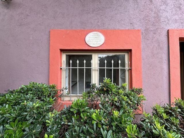 place photo 47