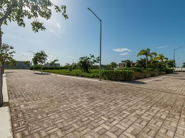 place photo 32