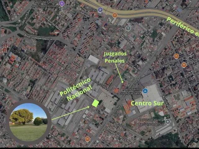 place photo 6
