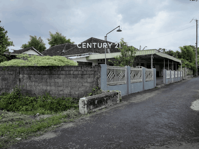 place photo 10