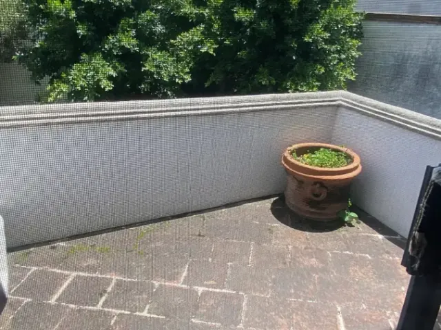 place photo 24