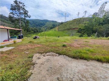 place photo 51
