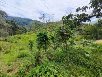 place photo 52
