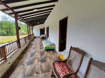 place photo 46