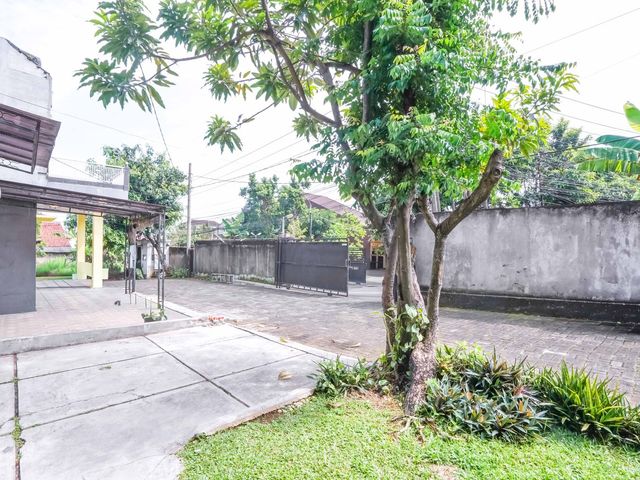 place photo 28