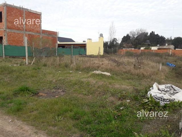 place photo 15