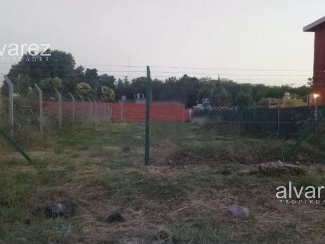 place photo 16