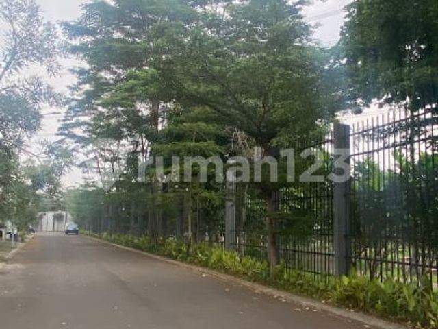 place photo 34