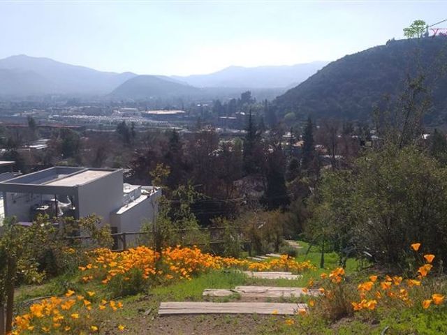 place photo 36