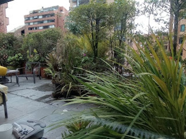 place photo 17