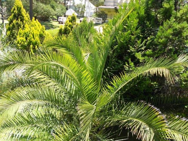 place photo 11