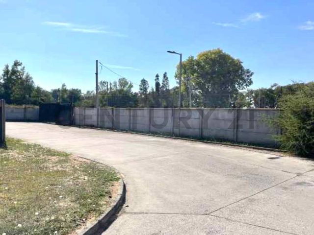 place photo 16