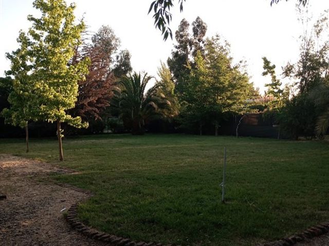 place photo 18