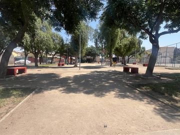 place photo 17