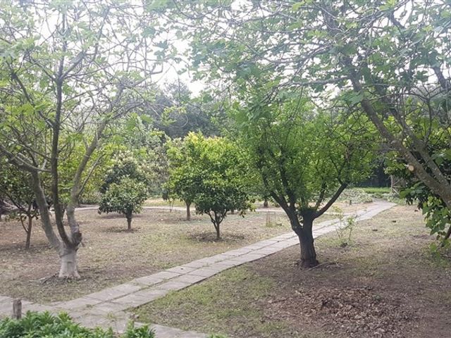 place photo 40