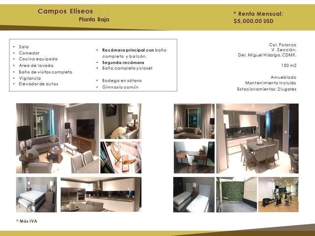Departamento Amueblado en Campos Eliseos Polanco V Sección
