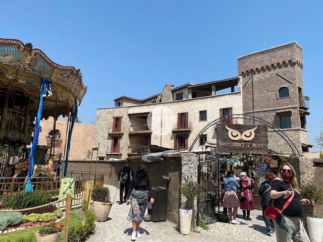 place photo 23