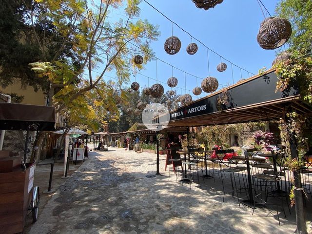 place photo 17