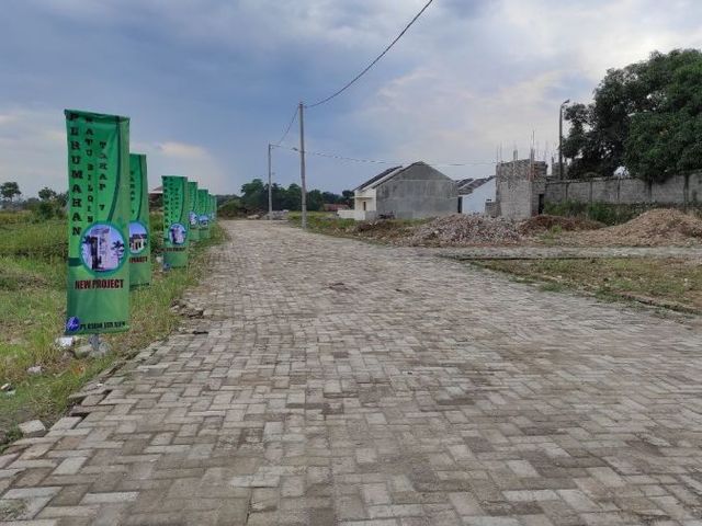 place photo 12