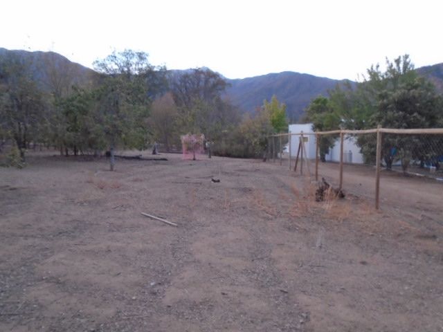 place photo 26