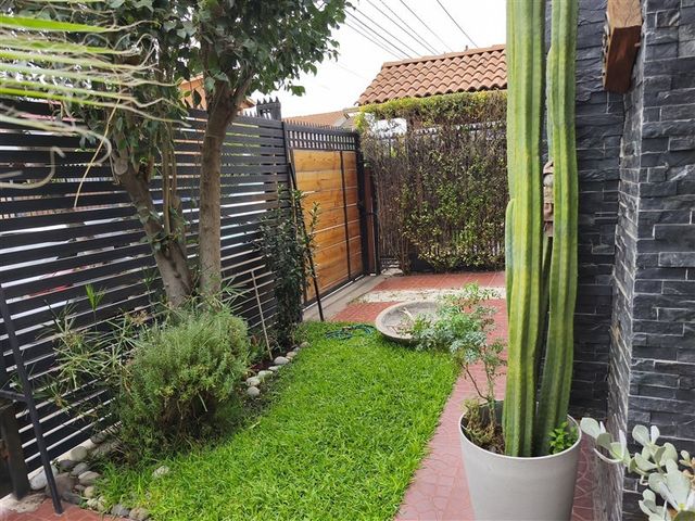 place photo 59