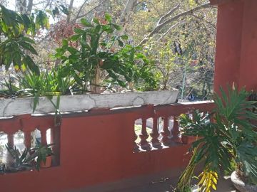 place photo 26