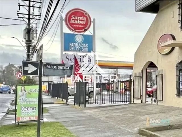 place photo 19