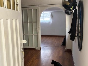 place photo 24